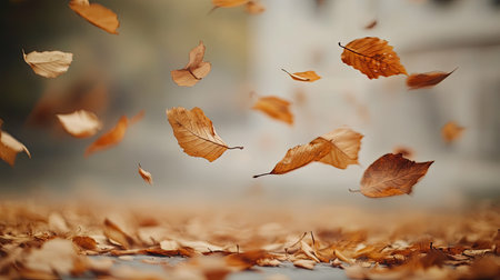 Close-up of dry leaves flying in different directions, wind-swept over a neutral backgroundの素材