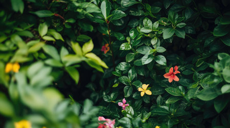 Vertical garden with dense green foliage and scattered colorful flowers, creating a natural living wallの素材