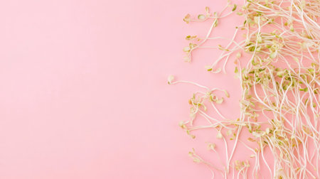 Clean flat lay of soybean sprouts with copy space on a soft pastel pink background for modern food stylingの素材