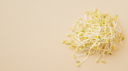 Minimalist composition of a handful of soybean sprouts spread across a soft beige backgroundの素材