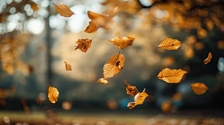 Dry leaves in flight, captured with shallow depth of field and bokeh backgroundの素材