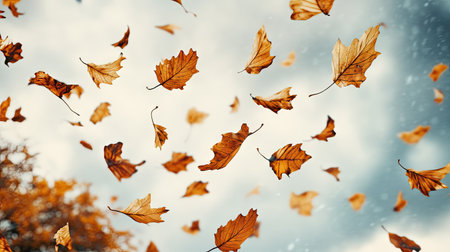Golden and brown dry leaves flying in the wind against a soft, cloudy sky backdropの素材