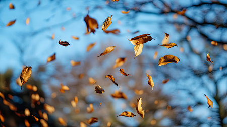 Gust of wind lifting crisp dry leaves with blue sky and faint tree silhouettes in the backgroundの素材