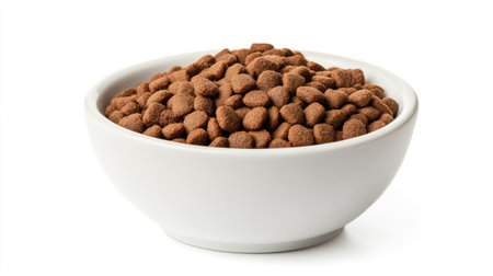 High-resolution image of dry kibble in a white ceramic bowl, isolated on white backgroundの素材