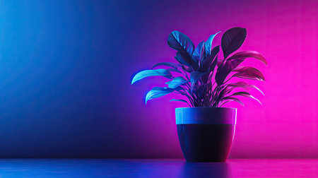 Minimalist potted plant under neon purple and blue lights on dark background, emphasizing futuristic and modern aestheticsの素材