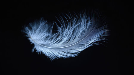 A solitary white feather drifts on a black background, highlighting its graceful form and fine details. Ideal for use in nature-focused projects and artistic visuals.の素材