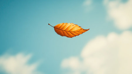 A solitary autumn leaf floats gracefully against a backdrop of a vibrant blue sky and soft clouds, embodying the serene beauty of nature during the fall season.の素材