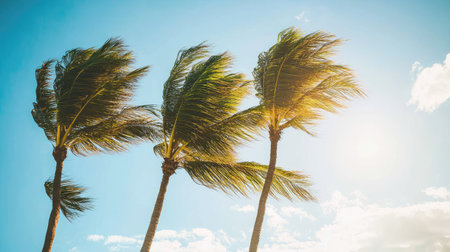 Tall, slender palm trees in the wind on a tropical day, leaves creating a dynamic pattern against the blue skyの素材