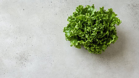 A single head of leafy green lettuce resting on a clean, light grey surface, creating a fresh and minimalist aesthetic.の素材