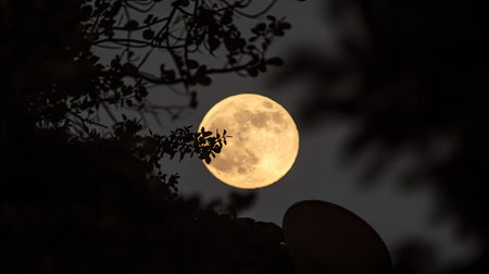 Satellite dish in silhouette against a bright, full moon, capturing a moment of night technology in a remote areaの素材