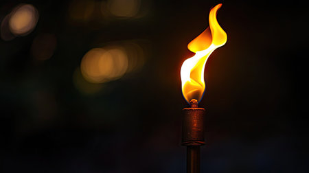 A torch flame burning steadily in the dark, with a bright yellow-orange flame, casting light in the surrounding area.の素材