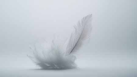 A single fluffy white feather falling in slow motion, its details captured against a clean, minimalist white background.の素材
