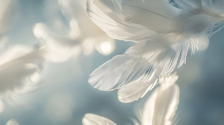Close-up of delicate white feathers in midair, with a blurred background and soft lighting highlighting their texture.の素材