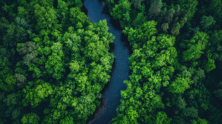 A clean river flowing through a dense, green forest, representing water conservation and healthy ecosystems.の素材