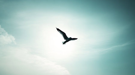 A stunning silhouette of a bird soaring gracefully against a backdrop of a clear sky, with soft clouds and gentle sunlight creating a serene atmosphere in nature.の素材