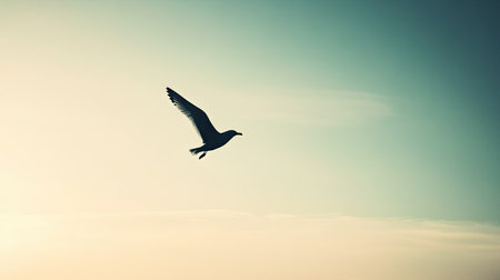 A stunning silhouette of a seagull soaring gracefully against a soft sunset sky. This image captures the essence of freedom and beauty in nature's tranquil moments.の素材