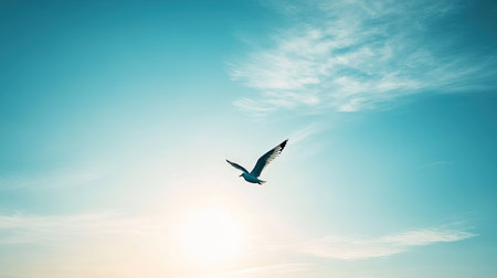 A stunning capture of a seagull soaring gracefully through a bright blue sky at sunset, with soft white clouds and warm golden light creating a peaceful ambiance.の素材