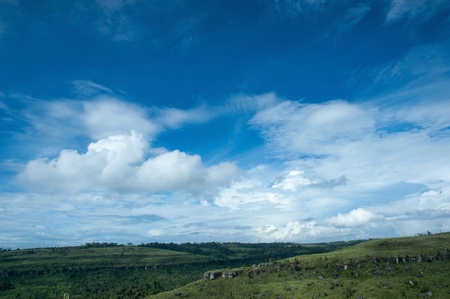 View natural  forest   and mountain in thailand の写真素材