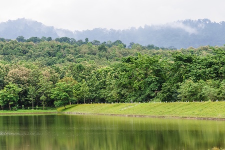 View natural  forest   and mountain in thailand の写真素材