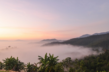 View Light morning mist mountain in pai maehongso  provincial thailand  の写真素材
