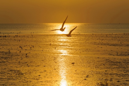 View beautiful  Sunset beaches   in  samutprakarn Thailandの写真素材