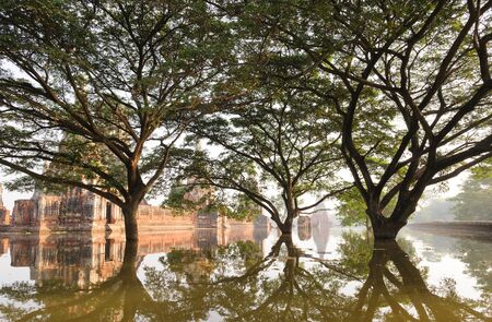 View reflective nature water tree の写真素材
