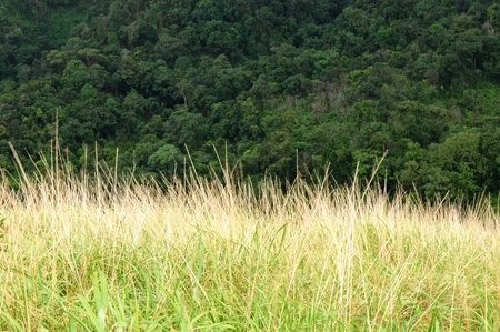 View landscape  light nature の写真素材