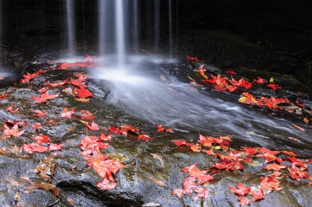 Beautiful Waterfall   forest  in thailand 