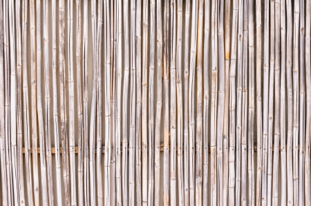 Wood  texture for  background の写真素材