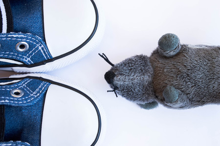 Toy rat with gray wool lying on its back in front of the blue sneakersの写真素材