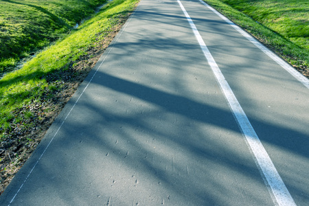 Asphalt walkway in the park. With the morning sun shines and green lawn , asphalt road.