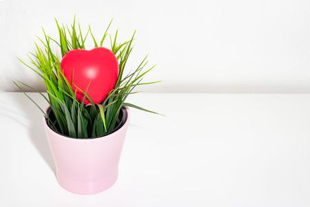 Big red heart lying on a plant in flower pot, copy space.の写真素材