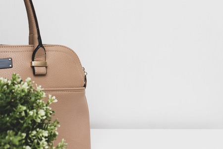 Elegant fashionable formal beige leather handbag for business woman and a green plant on white...