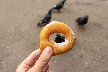 Woman sitting on a bench in park and holding beignet pastry, donut in hand, blurred pigeons on...