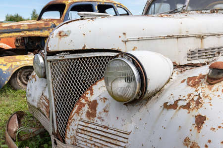 Mozhaisk, Russia - August 11, 2019: Old abandoned rusty vehicles, crushed cars in scrapyard, junk yard needed to be utilised and reused to protect nature and environment, metal recycling concept.のeditorial素材