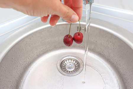 Female hand washing ripe sweet cherry in a kitchen sink under water jet, cleaning fresh fruits of bacteria and dirt.の写真素材