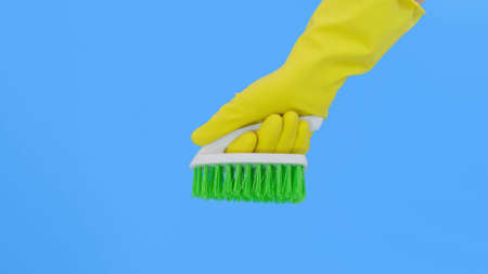 A hand in yellow gloves showing a green brush against blue background, cleaning and brushing carpet, removing stains and wool from it and doing routine homework conceptの写真素材