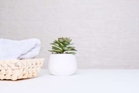 White towels and green plant as a spa, relax and massage conceptの写真素材