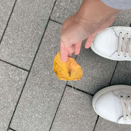 A person in white lather sneakers picking up a yellow autumn fall leaf in a city park, copy spaceの写真素材