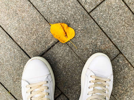 A person in white lather sneakers standing in front of a yellow autumn fall leaf in a city parkの写真素材