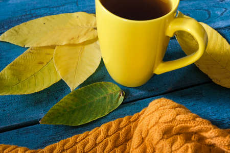 Yellow cup of hot tea, beverage on wooden background among yellow fall leaves and knitted clothesの写真素材