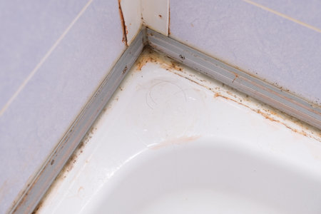 Mold fungus and rust growing in tile joints in damp poorly ventilated bathroom with high humidity, wetness, moisture and dampness problem in bath areas and showerの写真素材