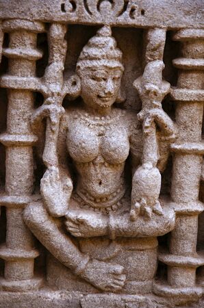 Carved idols on the inner wall of Rani ki vav, an intricately constructed stepwell on the banks of...