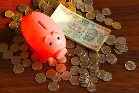 Financial concept with Saving money to buy house or home. Piggy bank with coins and notesの写真素材