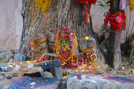 Indian tradition or worshipping banyan tree, Brihadeeswarar Temple, Thanjavur, Tamil Nadu, Indiaの写真素材