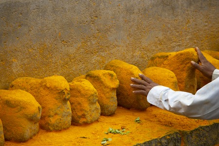 Man touching saffron colored stones, Maharashtra, India