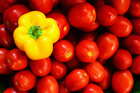 Yellow capsicum and red tomatoes, natural color popの写真素材