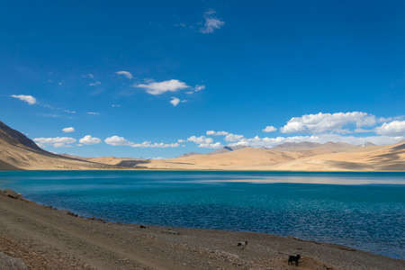 Blue water of Tso Moriri or Mountain Lake, Ladakh, India. Largest of the high altitude lakes entirely within India. Water is brackishの写真素材