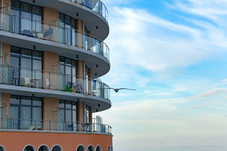 Seagull in flightの写真素材