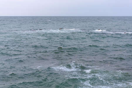 black sea waves